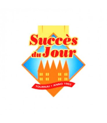 Success of the day logo