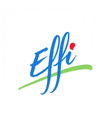 Effi logo