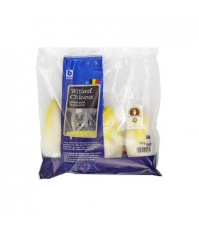 Chicons (endives) pleine terre belge 500 gr