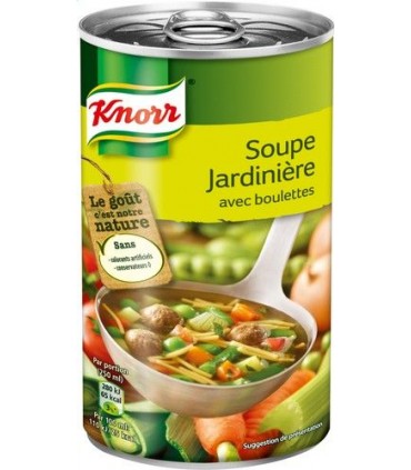 Knorr jardinière boulettes 515ml - soupe boite chockies