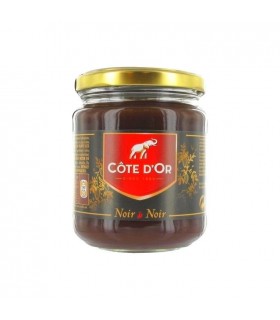 Côte d'Or pâte tartiner chocolat noir 300 gr CHOCKIES