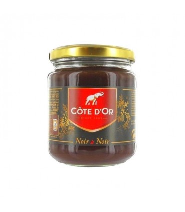 Côte d'Or pâte tartiner chocolat noir 300 gr CHOCKIES
