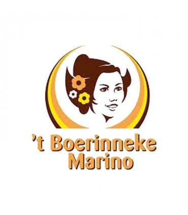 Boerinneke logo