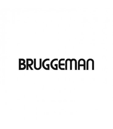 Bruggeman logo