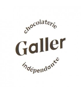 Galler logo
